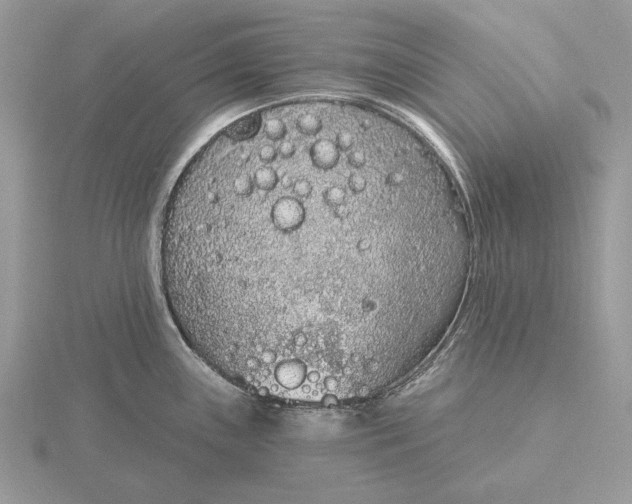 X0000116151243200912071257