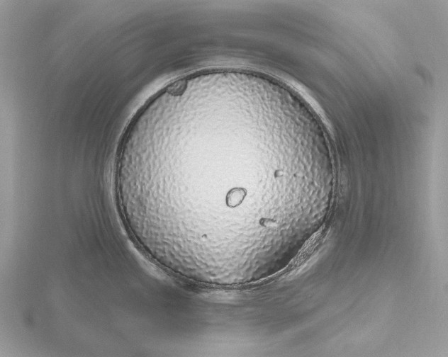 X0000116151245200912071257