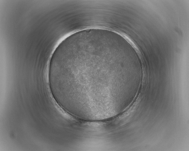 X0000116151246200912071257