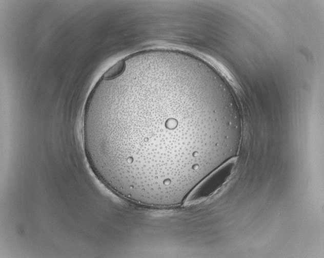 X0000116151247200912071257