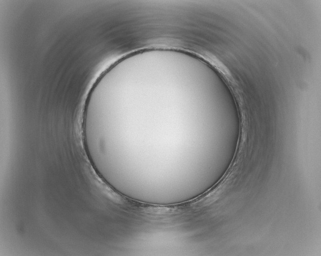 X0000116151248200912071257