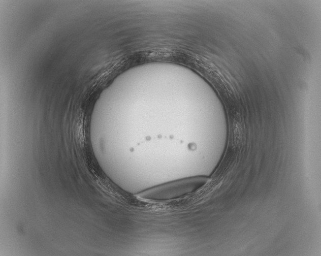 X0000116151250200912071256