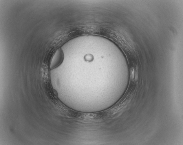 X0000116151251200912071256