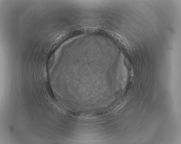 X0000116151252200912071256