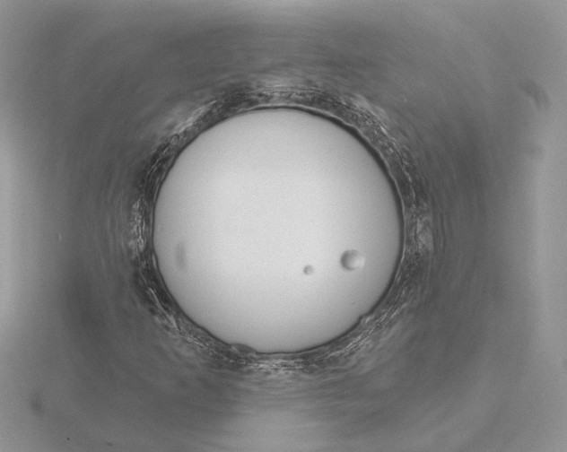 X0000116151253200912071256