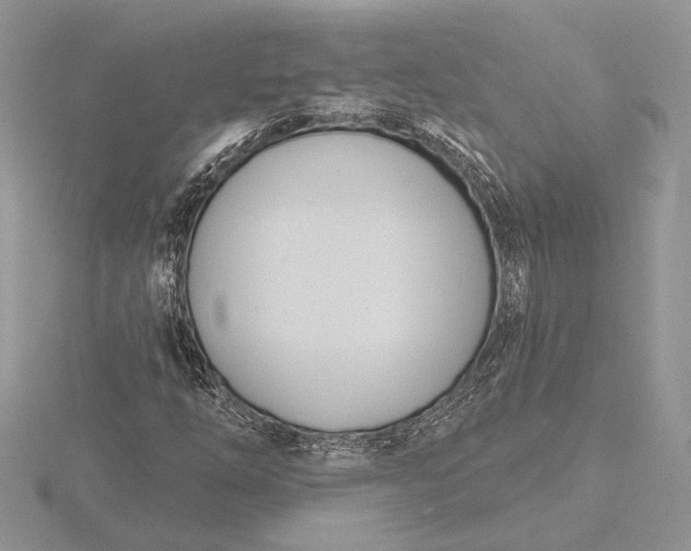 X0000116151254200912071256