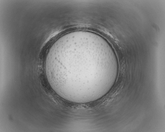 X0000116151255200912071256