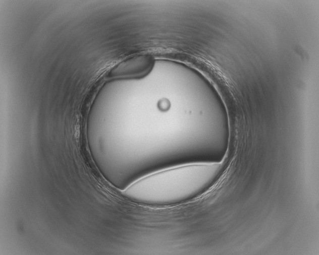 X0000116151257200912071256