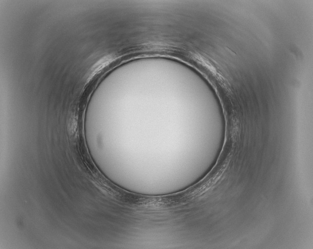 X0000116151259200912071256