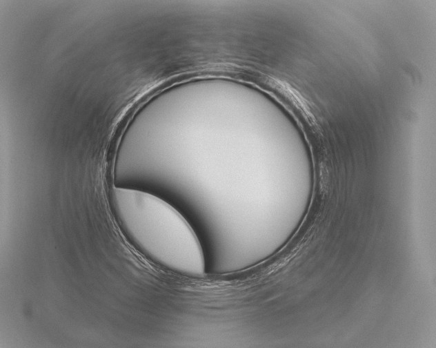 X0000116151260200912071256