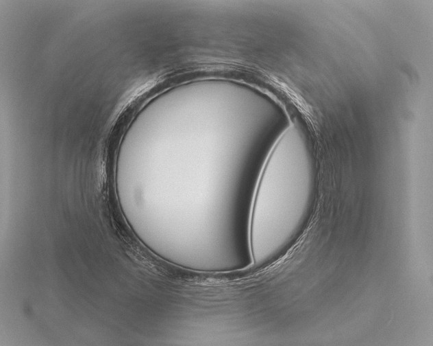 X0000116151261200912071256