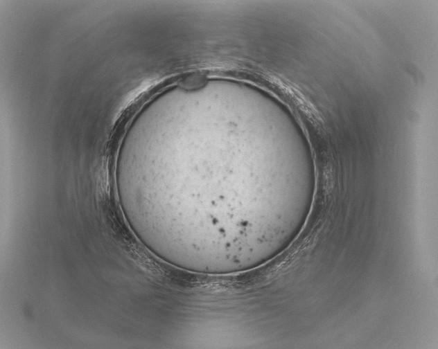 X0000116151262200912071256