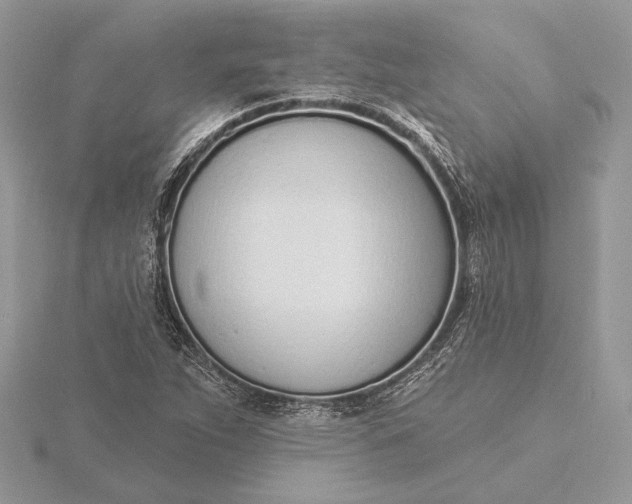 X0000116151263200912071256