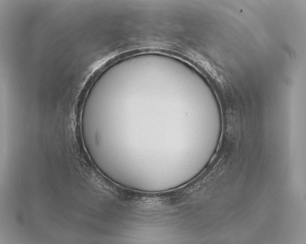 X0000116151264200912071256