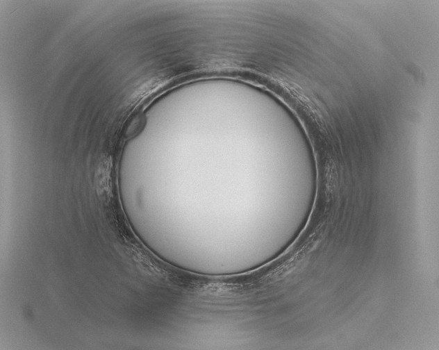 X0000116151265200912071256