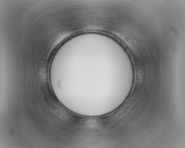 X0000116151266200912071256