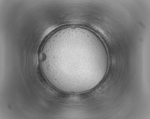 X0000116151267200912071256