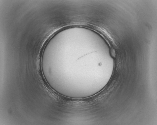 X0000116151268200912071256