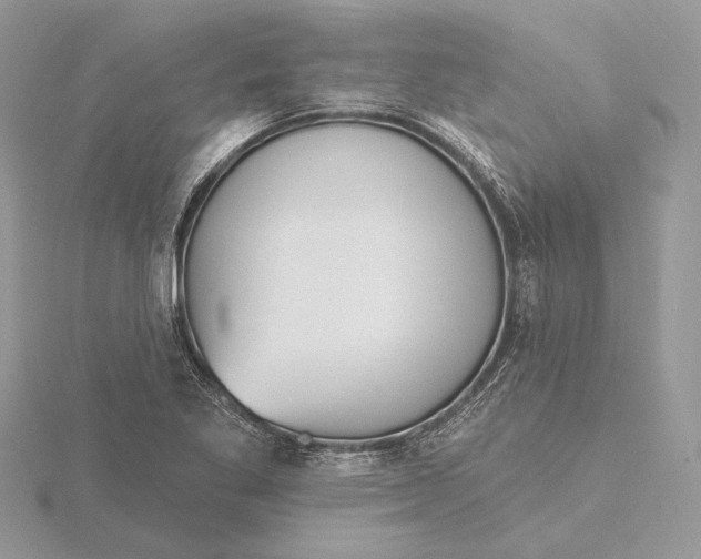 X0000116151269200912071256