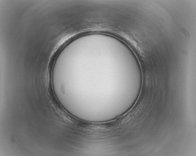 X0000116151270200912071256