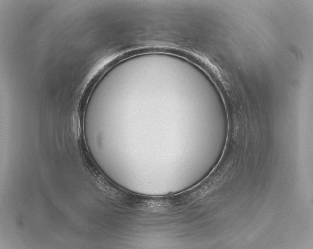 X0000116151271200912071256