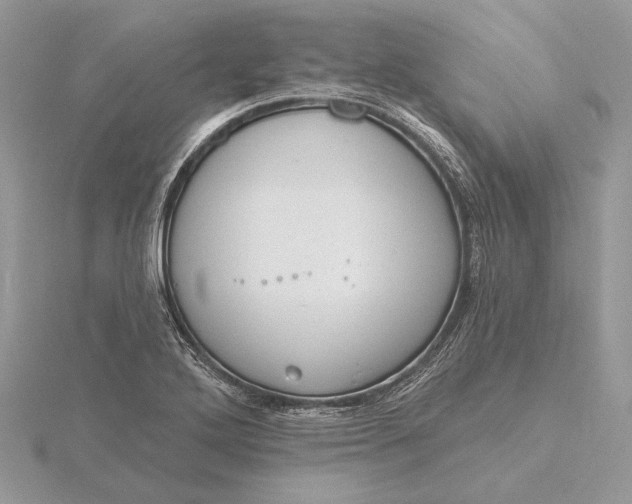 X0000116151272200912071256