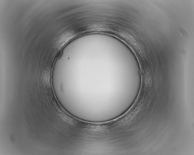 X0000116151273200912071256