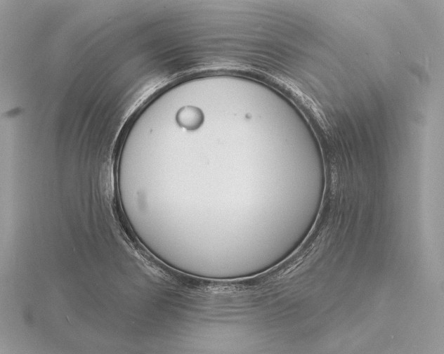 X0000116151274200912071256