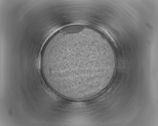 X0000116151276200912071256