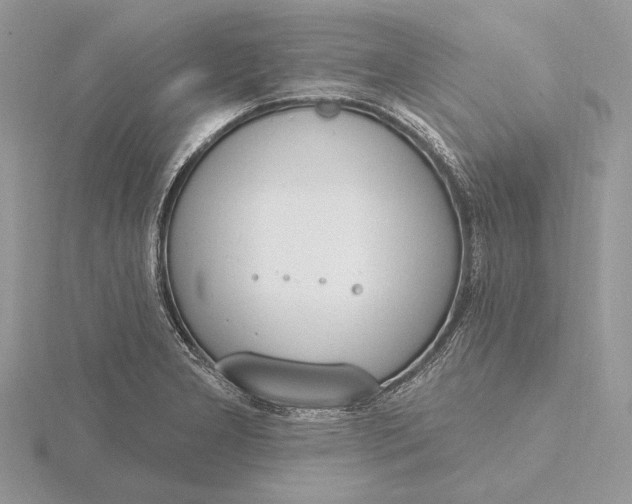 X0000116151277200912071256