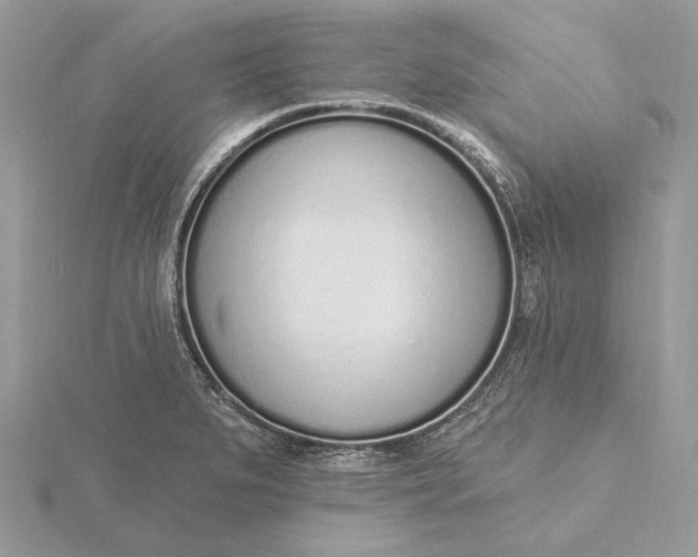 X0000116151279200912071256