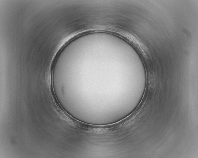 X0000116151280200912071256