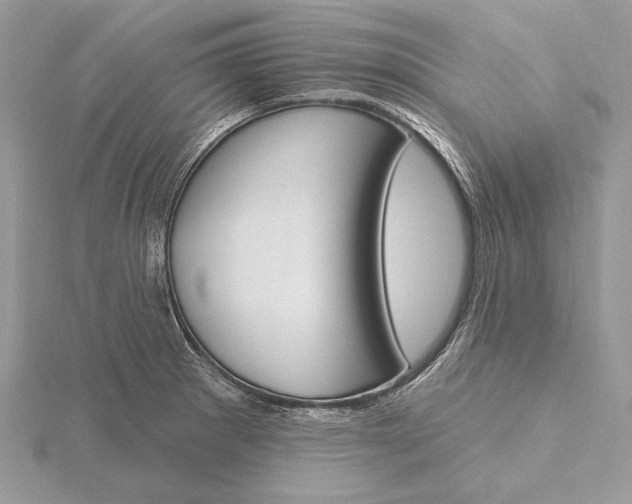 X0000116151281200912071256