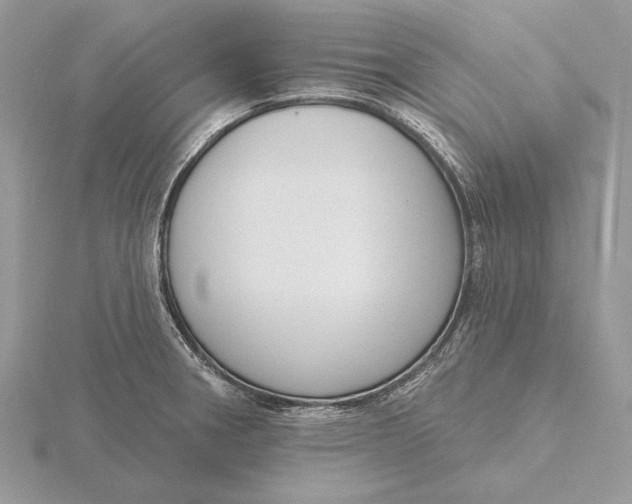 X0000116151282200912071256