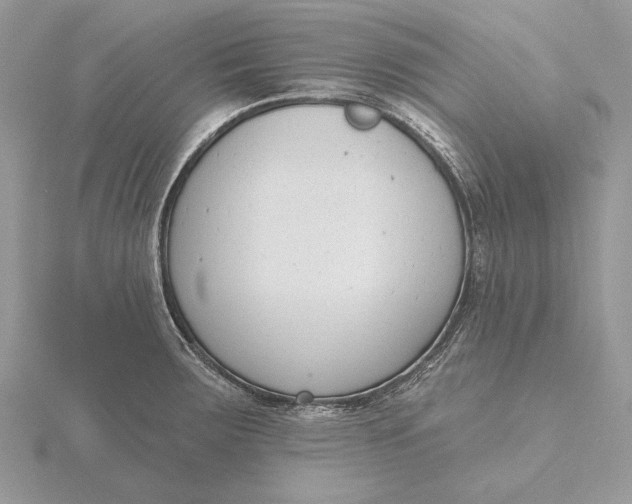 X0000116151283200912071256