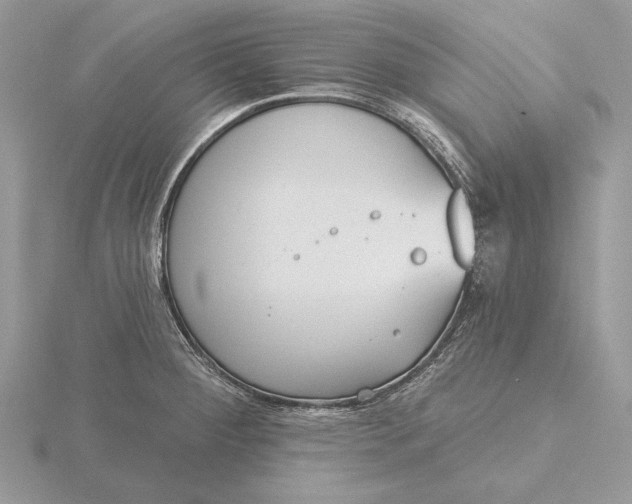 X0000116151284200912071256