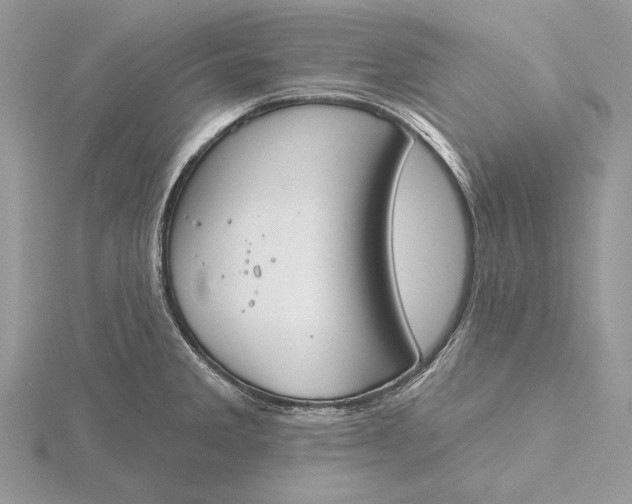 X0000116151285200912071256