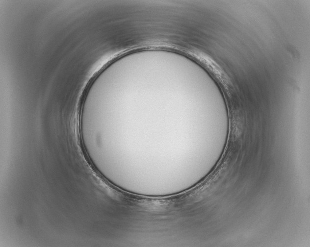 X0000116151286200912071256