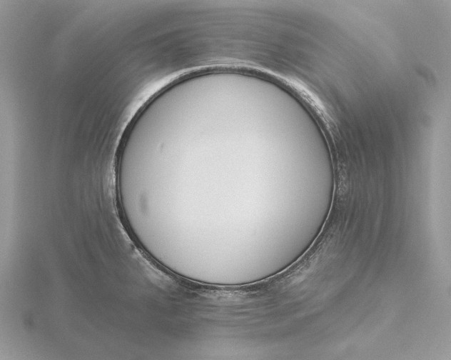 X0000116151287200912071256