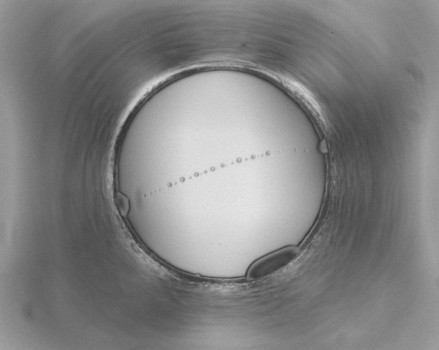 X0000116151288200912071256