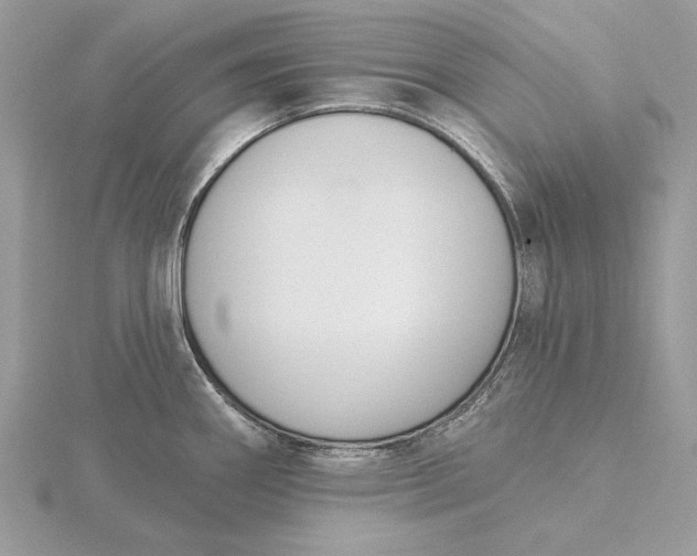 X0000116151290200912071256