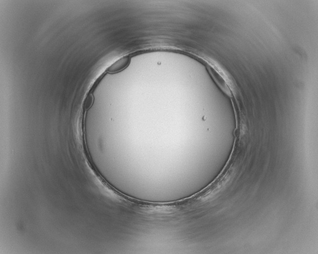 X0000116151293200912071256