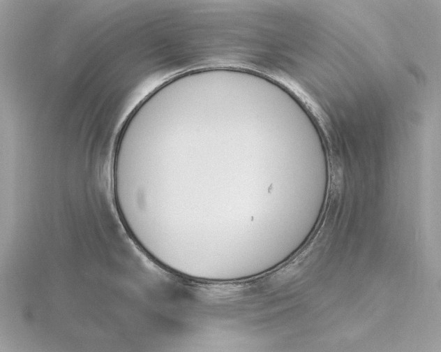 X0000116151294200912071256