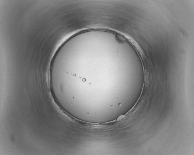 X0000116151295200912071256