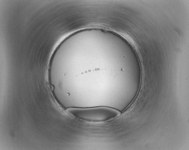 X0000116151296200912071256