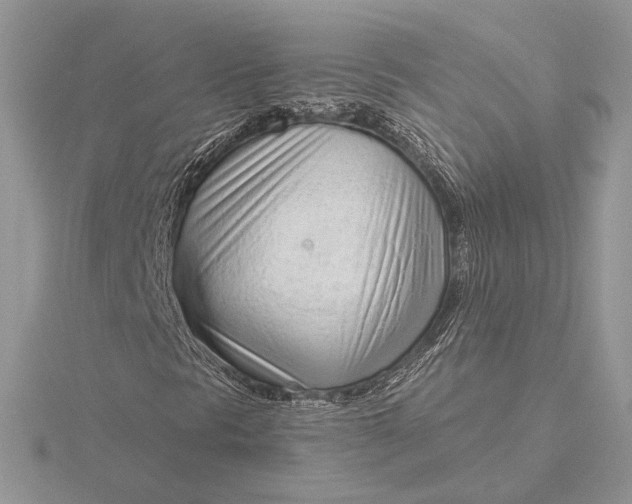 X0000116151297200912071255