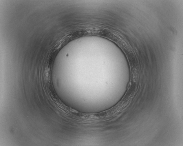 X0000116151298200912071255