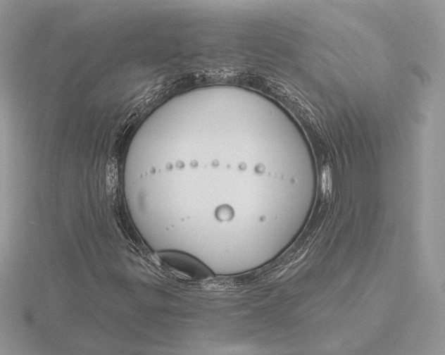 X0000116151299200912071255