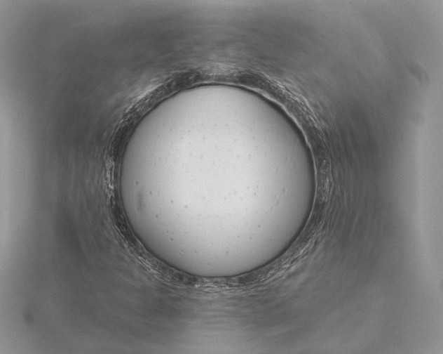 X0000116151301200912071255