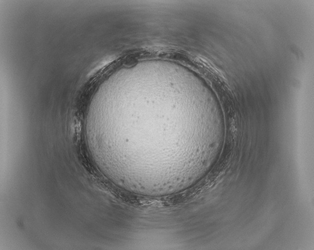 X0000116151302200912071255